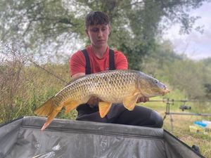 Common Carp