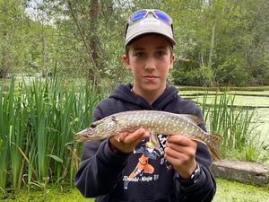 Northern Pike