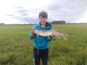Northern Pike
