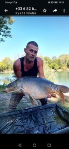 Mirror Carp