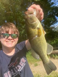 Largemouth Bass