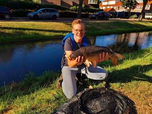 Common Carp