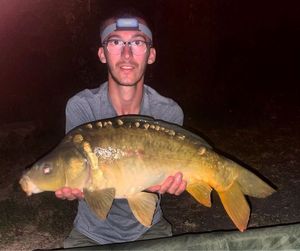 Mirror Carp