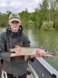 Northern Pike
