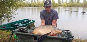 Common Carp