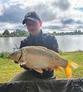 Mirror Carp
