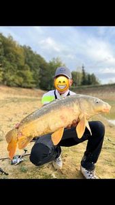 Leather Carp