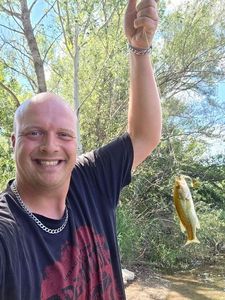 Largemouth Bass