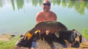 Common Carp