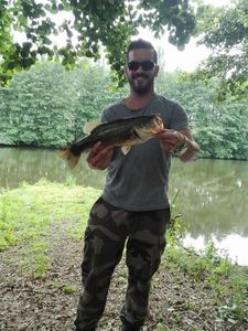 Largemouth Bass