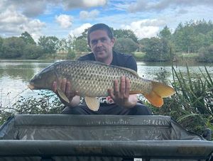 Common Carp