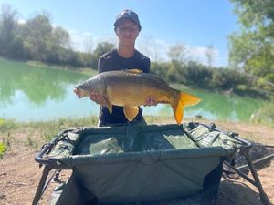Mirror Carp
