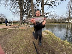Rainbow Trout