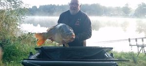 Mirror Carp
