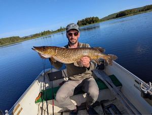 Northern Pike
