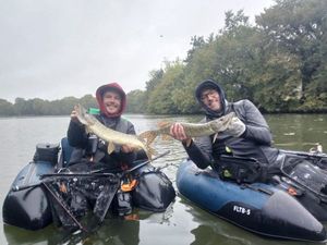 Northern Pike