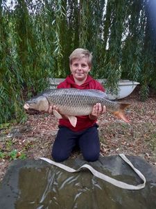 Common Carp