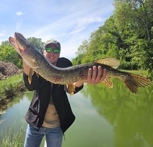Northern Pike