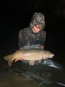 Mirror Carp