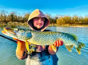 Northern Pike