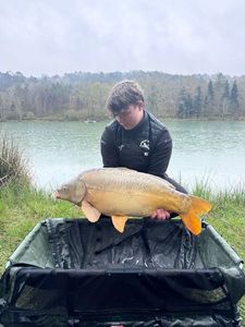 Mirror Carp