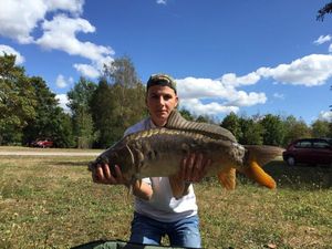 Mirror Carp