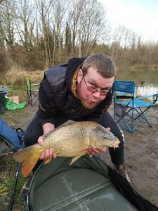 Common Carp