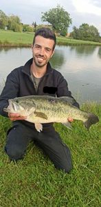 Largemouth Bass