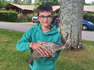 Common Carp