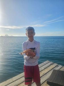 White Perch