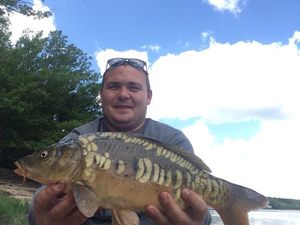 Mirror Carp