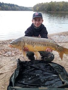 Mirror Carp