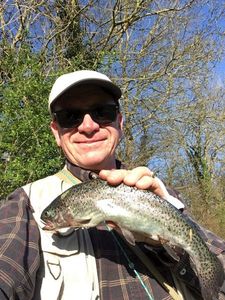 Rainbow Trout