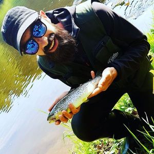 Brown Trout