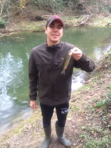 Chub