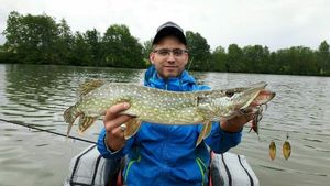 Northern Pike