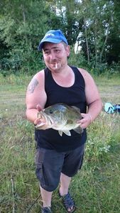 Largemouth Bass