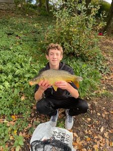 Common Carp
