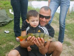 European Perch