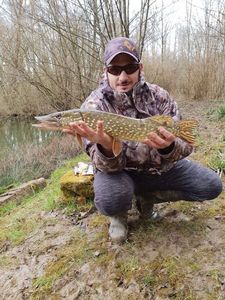 Northern Pike