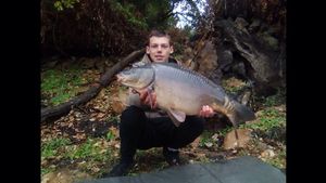Mirror Carp