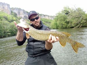 Northern Pike