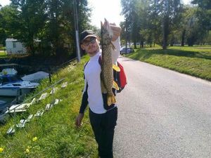 Northern Pike