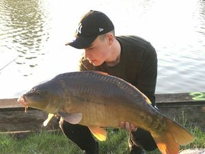 Mirror Carp