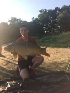 Mirror Carp