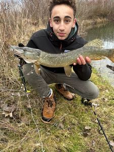 Northern Pike