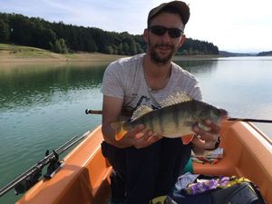 European Perch