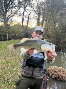 Largemouth Bass