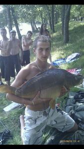 Mirror Carp
