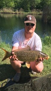 Mirror Carp